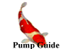 Pump Guide