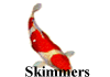 Skimmers