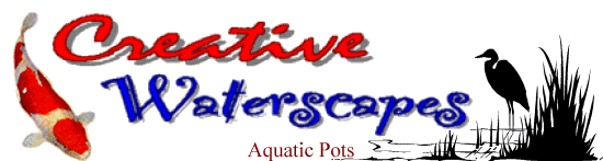 Aquatic Pots